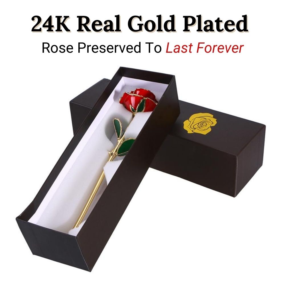 24K Gold Eternity Rose