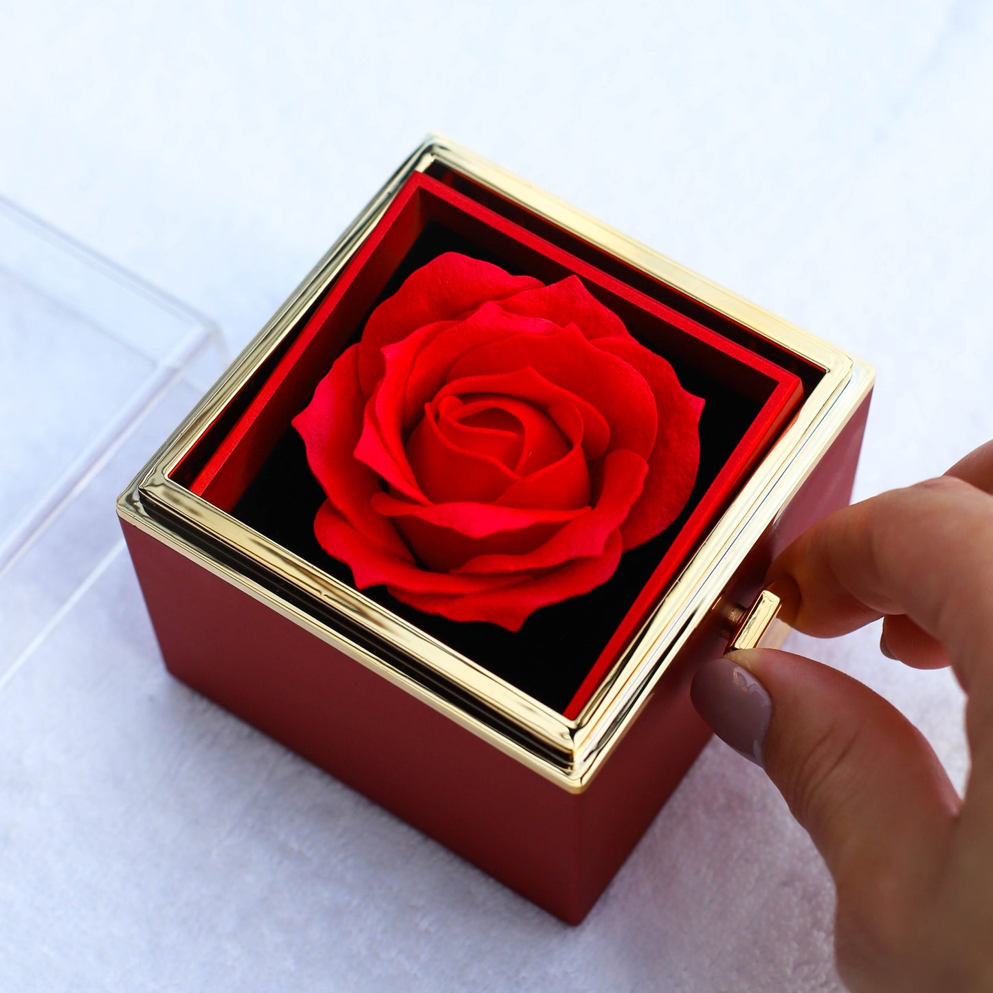 Forever & Always Eternal Rose and Heart Necklace